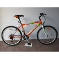 24 &quot;Stahlrahmen Mountainbike (CZ2403)